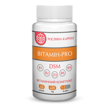 Вітамін - PRO 60 кап. 000000171 фото